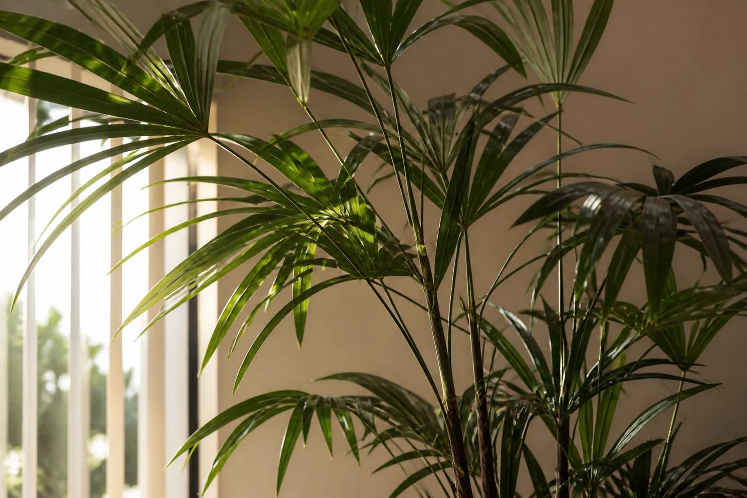 WELLNESS 01 8