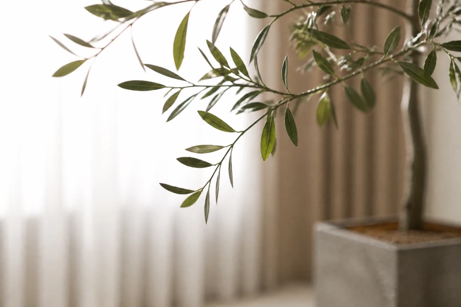 LIVING ROOM 01 8